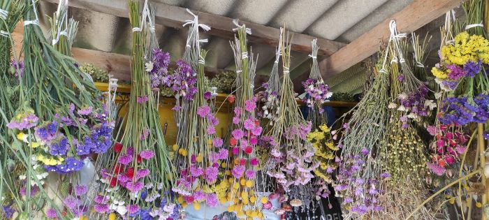 Ось так пані Наталя висушує квіти для майбутніх букетів